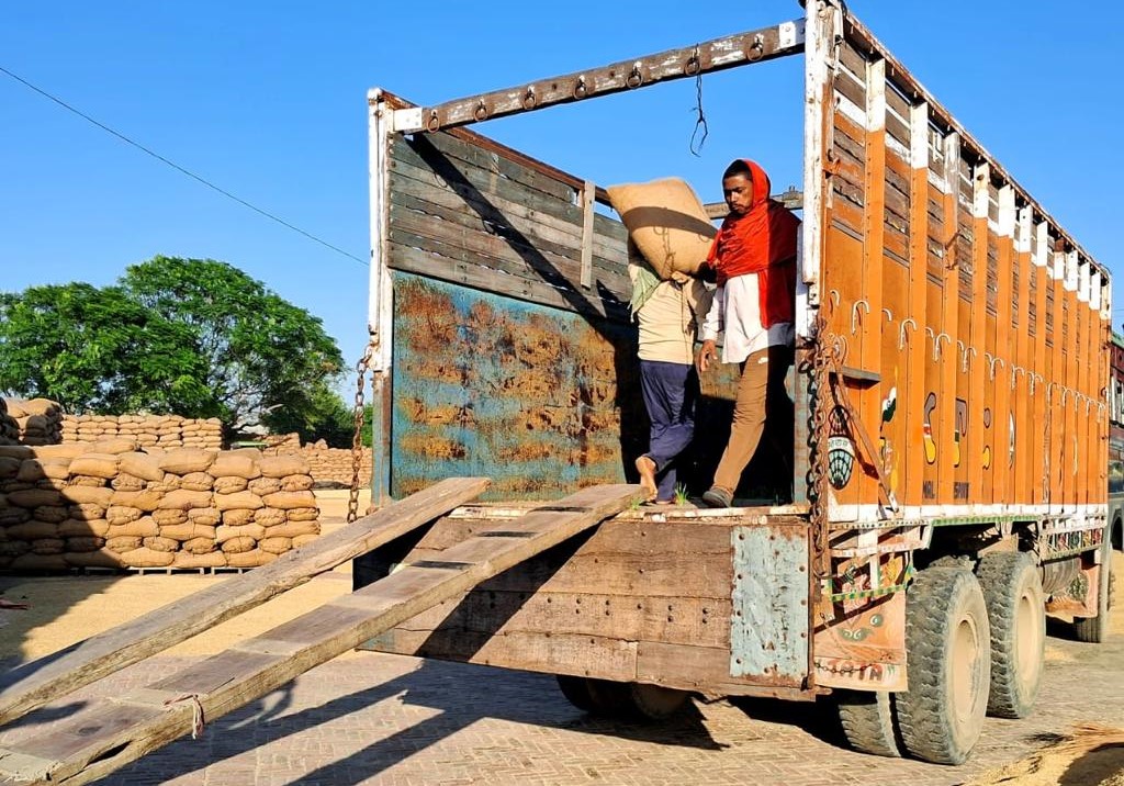 Paddy procurement misses target in Shahkot.