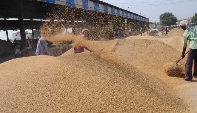 Fifty-four nominated for encroaching on new grain market land in Shahkot