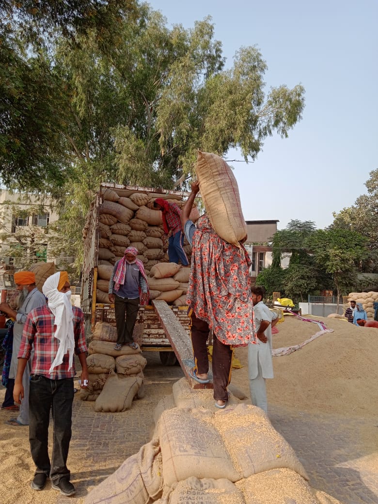  Payments of Rs 454 crore have been made to the farmers-Vineet Kumar,DC Faridkot