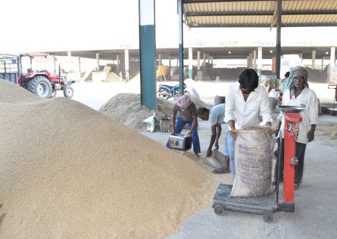 Paddy procurement crosses target in Lohian Khas