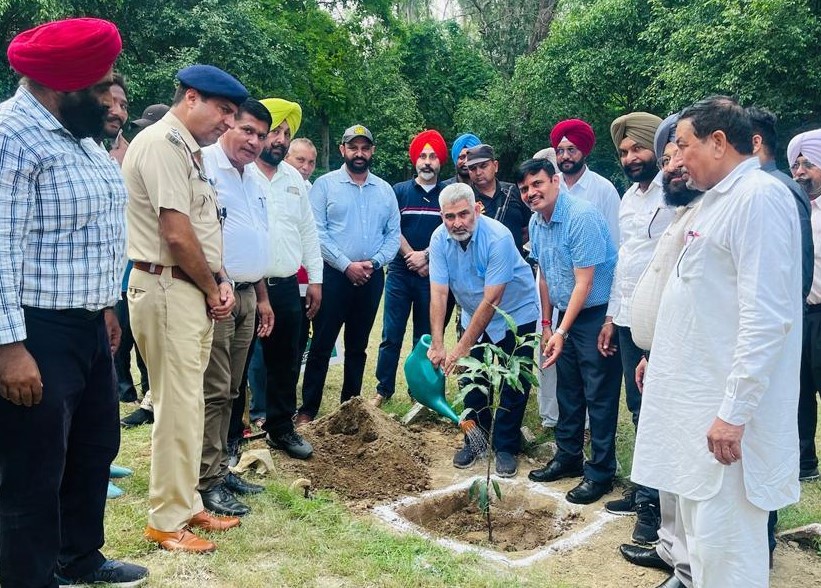 Forest department to plant 9.5 lakh saplings in Bist circle during this monsoon - Kataruchakk