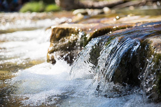 1.14 lakh cusec water released from Ropar:  DC issues precautionary advisory