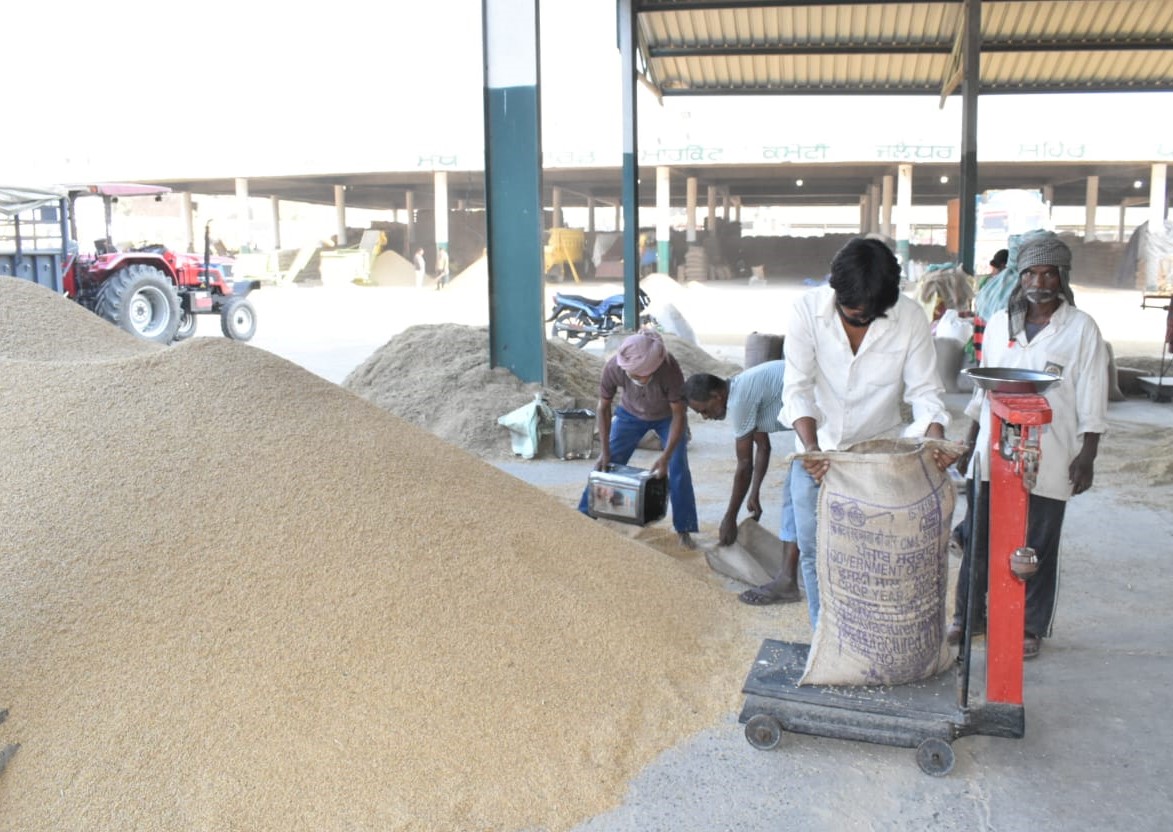 Paddy procurement crosses target in Bilga