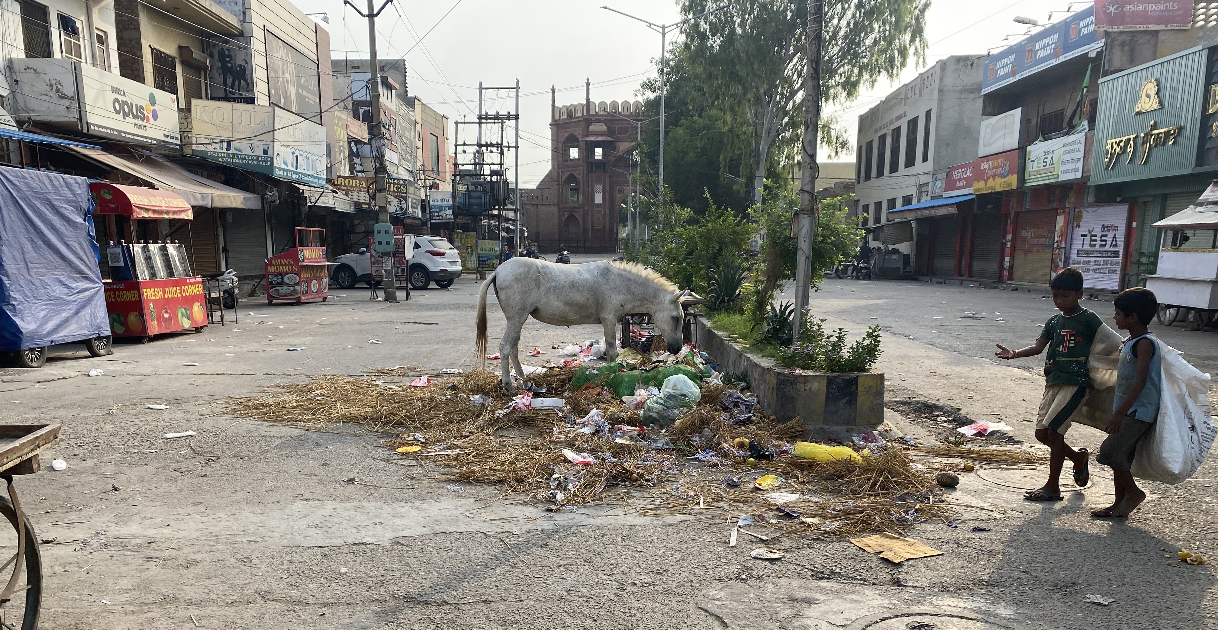 Approach road to Nurmahal Sarai turns garbage dump ground.  