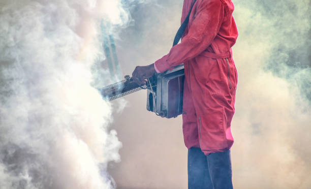 Jalandhar Administration forms special teams to conduct massive fogging campaigns in the city 