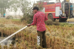 Senior officials conduct field visits to check stubble-burning cases; use Fire brigade services to put off fires.