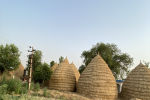 Kupps, traditional art of storing chaff