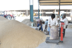 Nurmahal misses paddy procurement target