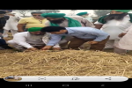 Farmers allegedly force government employee to initiate stubble burring, CM Mann orders action