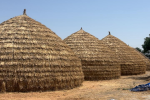 Kupps, traditional art of storing chaff