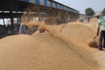 Fifty-four nominated for encroaching on new grain market land in Shahkot