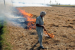 Villager booked for burning paddy stubble fields.