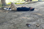 Wanted criminal opens fire at police ,arrested  
