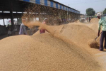 Paddy procurement less than target in Nurmahal