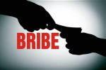 Vigilance arrests private person for committing fraud of Rs 9 lakh with Coop bank