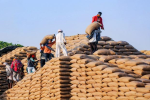 Wheat procurement misses target in Mehat Pur.