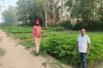 350th martyrdom day of Shri Guri Tegh Bahadur Ji;3.5 Lakh saplings to be planted in Jalandhar