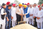 Ongoing procurement season of paddy to be completed within a week: CM