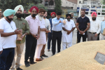 DC launches paddy procurement at Jalandhar