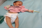 Seven days old male baby found in  sugarcane field