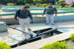 Jalandhar Administration intensifies fight against dengue spread