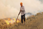 Unidentified farmers booked for burning paddy stubble fields