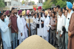 Kultar Singh Sandhwan made surprise visits to different markets to review procurement of paddy