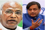 Congress President Election Result: Mallikarjun Kharge's victory in Cong Presidential election is certain, Shashi Tharoor's camp demands cancellation of all UP votes