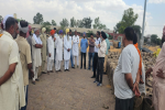 PR 126 is need of the hour to save subsoil water-chief agriculture officer Faridkot 