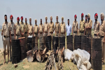 Huge quantity of illicit liquor, raw liquor seized in Shahkot during CASO operation