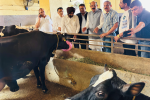 Punjab government  striving for welfare of animals  livestock owners: Minister