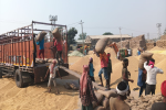 Administration ensures lifting 32K MT paddy in a single day:269520 MT crop lifted : Payment worth Rs. 1471 crore made: DC
