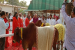Gujrat Governor visits Nurmahal Dera
