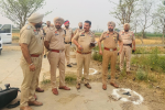 Jalandhar-rural police arrested  dangerous criminal during encounter  with 03 pistols , 17 rounds