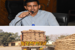  Administration ensures lifting of over 35K MT paddy in a single day: Rs. 1970 crore paid to farmers: DC