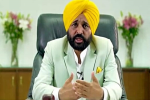 Bhagwant Mann led government gave 25000 government jobs in just 7 months – Dhaliwal
