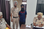 Gang of thieves busted, one arrested