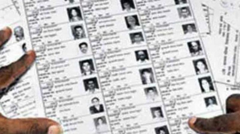 Special revision of electoral rolls begins