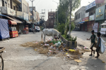 Approach road to Nurmahal Sarai turns garbage dump ground.  