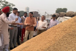 Principal secretary food and civil supplies inspect paddy procurement operations in Patiala, Sangrur and Malerkotla