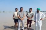 Delayed cleaning of the drains led to the flooding of the adjoining fields in Faridkot,farmers claimed the crop would devastated