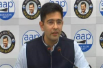 Government knew about shortage of fodder and its impact on milk prices, but did nothing. Why? : MP Raghav Chadha