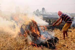 Kapurthala: BKU Qadian warns to strongly oppose police action against farmers who burn stubble, raised issue of giving compensation amount of Rs 2500 per acre